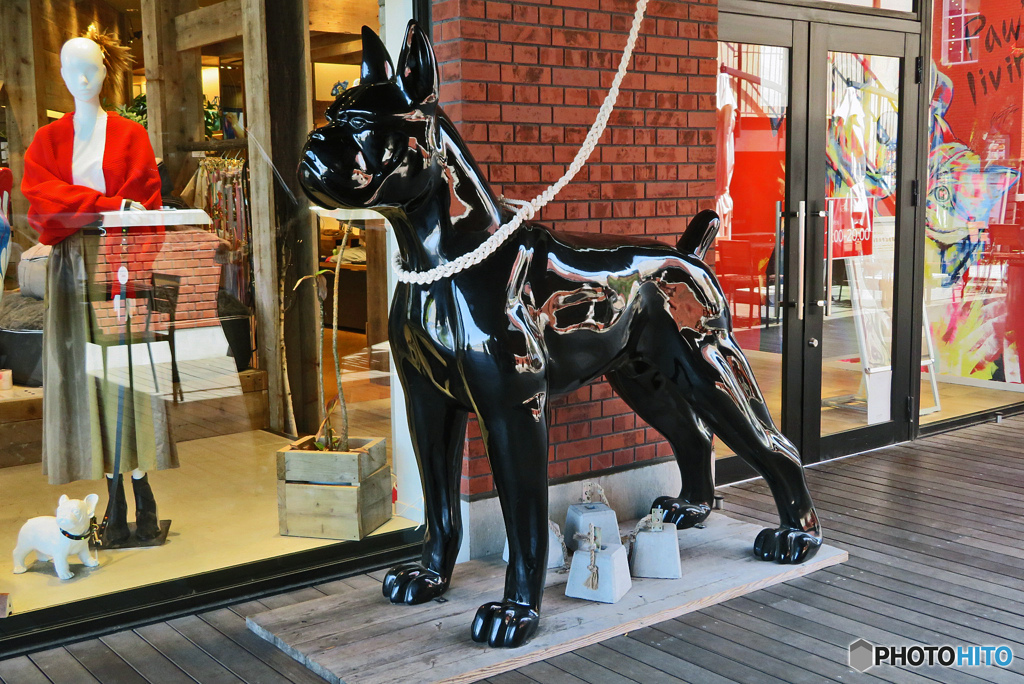 街のスナップ撮影