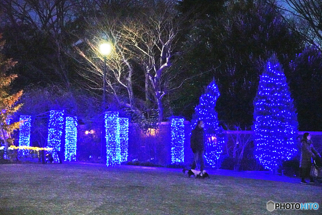 アメリカ山のイルミネーション