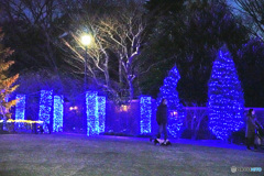 アメリカ山のイルミネーション