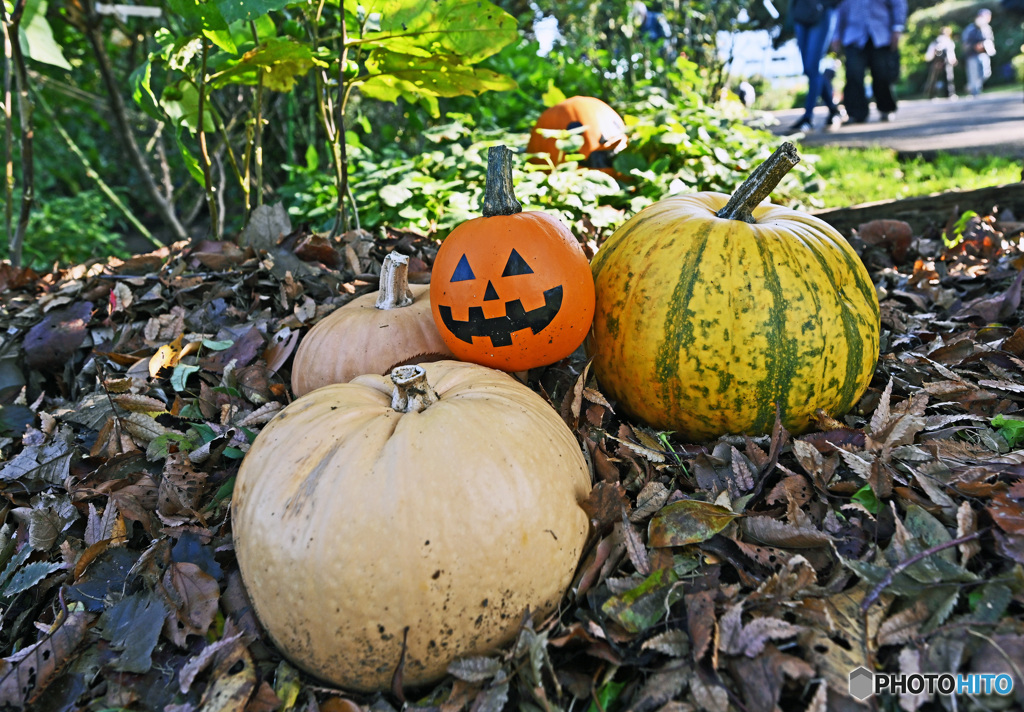 横浜山手西洋館HALLOWEEN