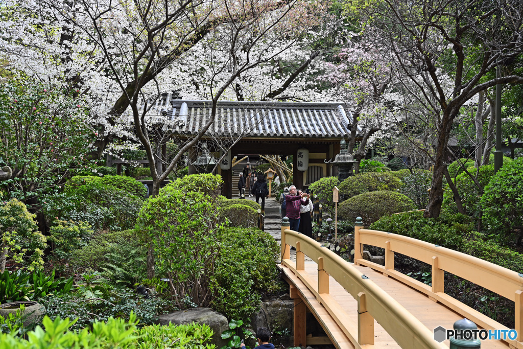 高輪日本庭園