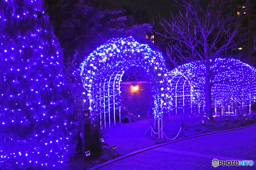 アメリカ山のイルミネーション