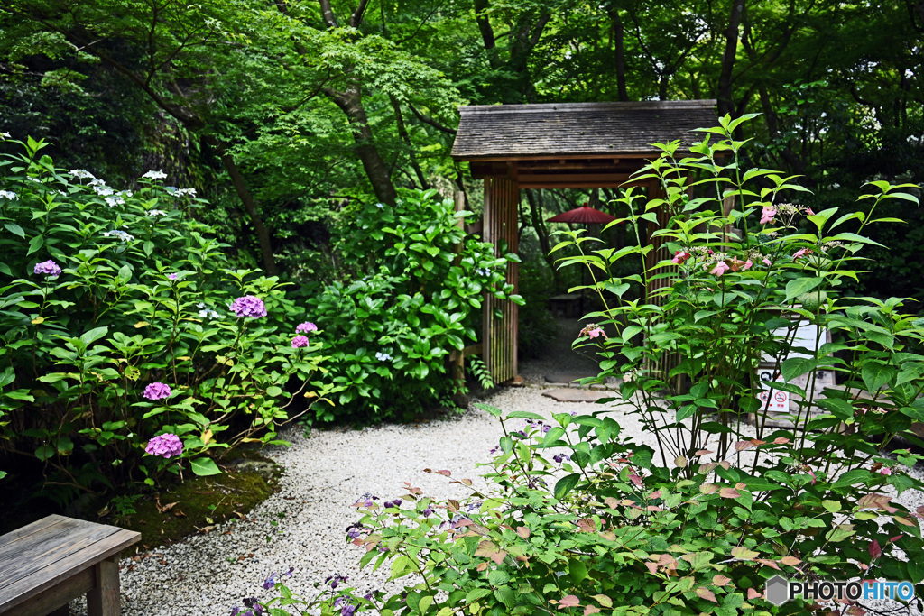 一条恵観山荘　庭園の部