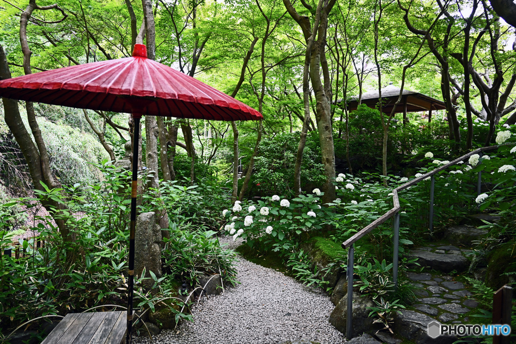 赤い傘のある風景