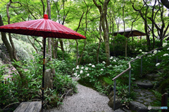 赤い傘のある風景