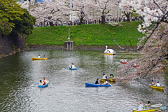 千鳥ヶ淵スナップ