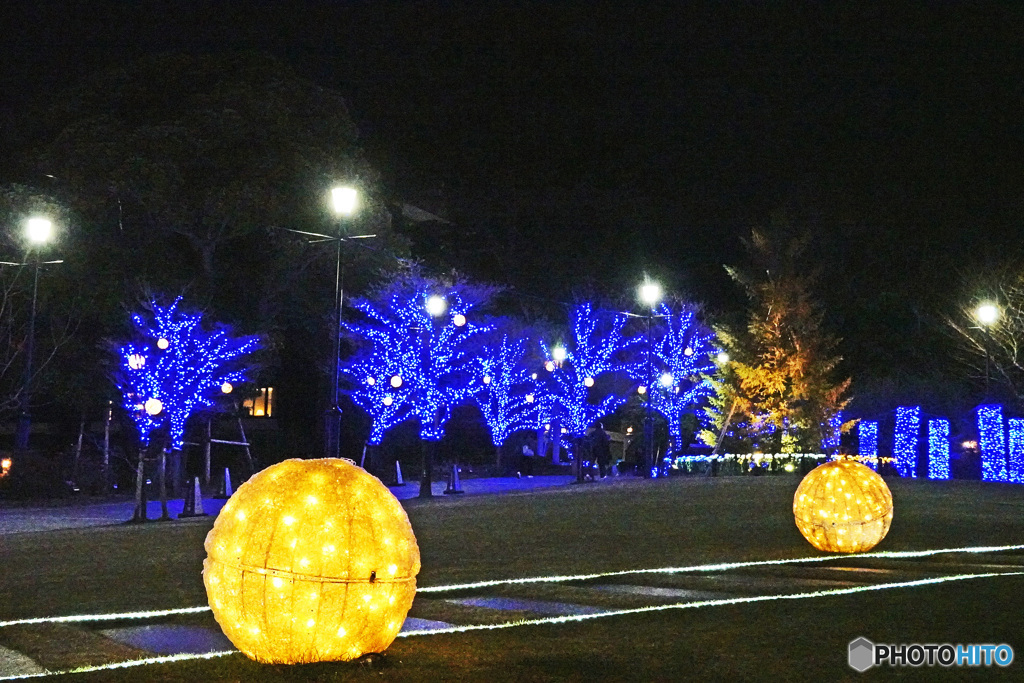 アメリカ山のイルミネーション