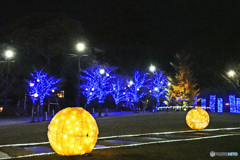 アメリカ山のイルミネーション