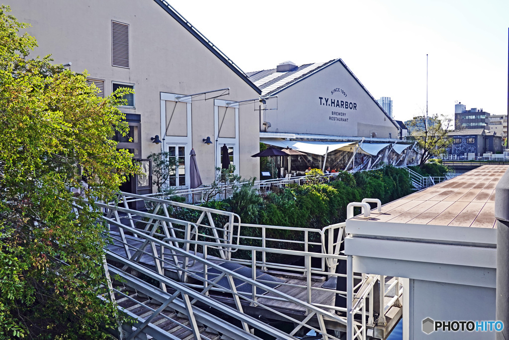 天王洲スナップ