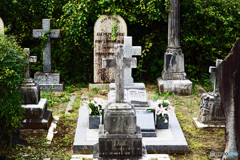 山手外人墓地