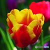 spring is come