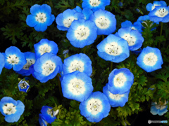 横浜ブラブラ~山手 横浜ブラブラ~山手