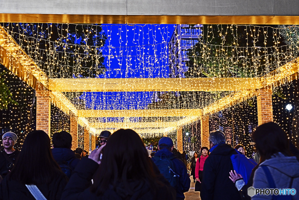 ハマスタイベント