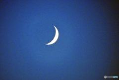 今宵の月は綺麗な三日月です