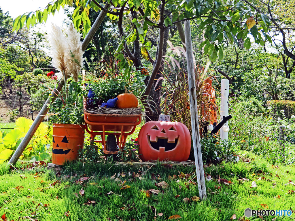 ハロウィン近し