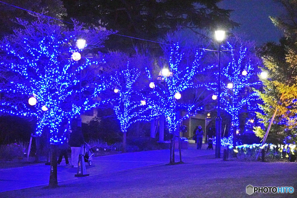 アメリカ山のイルミネーション