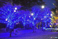 アメリカ山のイルミネーション