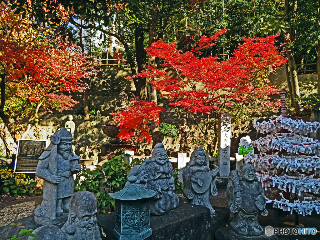 晩秋の頃