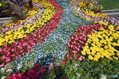 山下公園花壇6