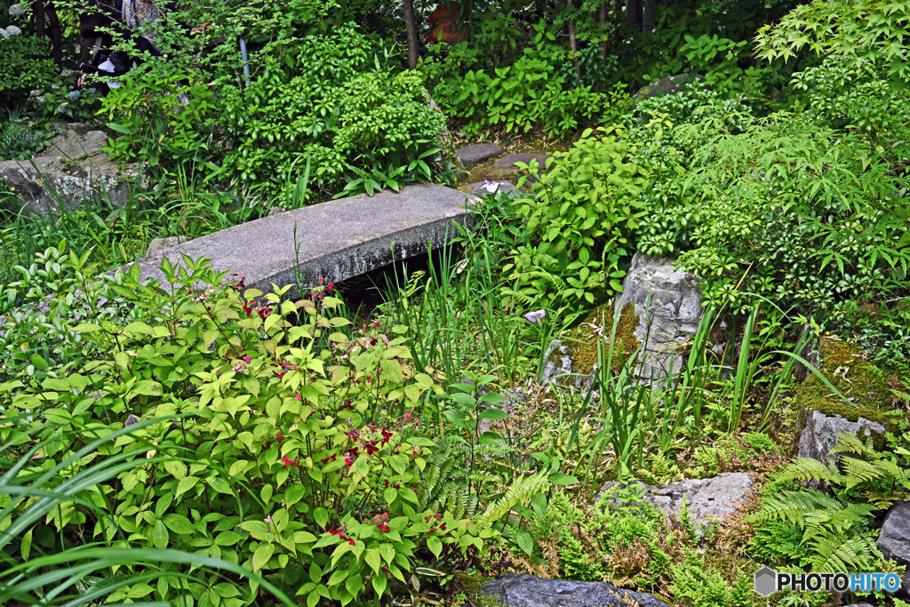 一条恵観山荘　庭園の部