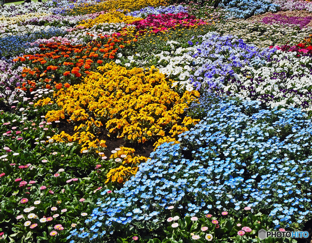 赤レンガ花壇展3