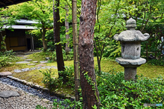 一条恵観山荘　庭園の部