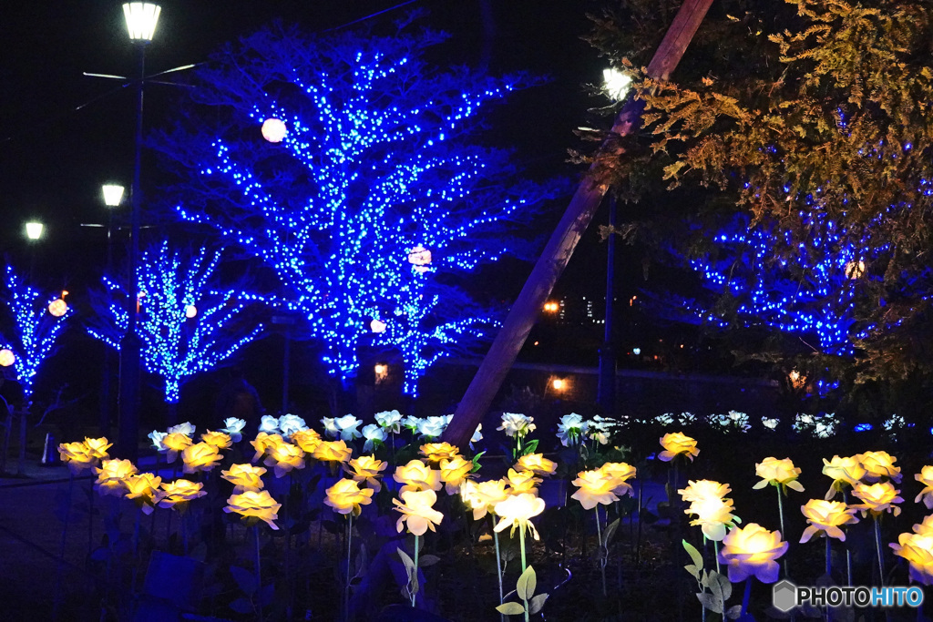 アメリカ山のイルミネーション