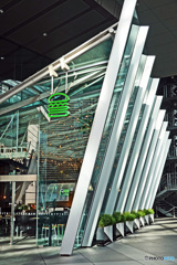 国際フォーラム