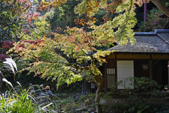 三渓園　秋景