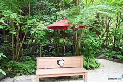 赤い傘のある風景