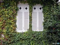 白い窓のある家