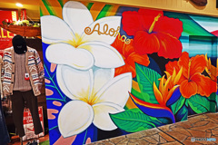 お台場スナップ　ハワイ専門お土産物店