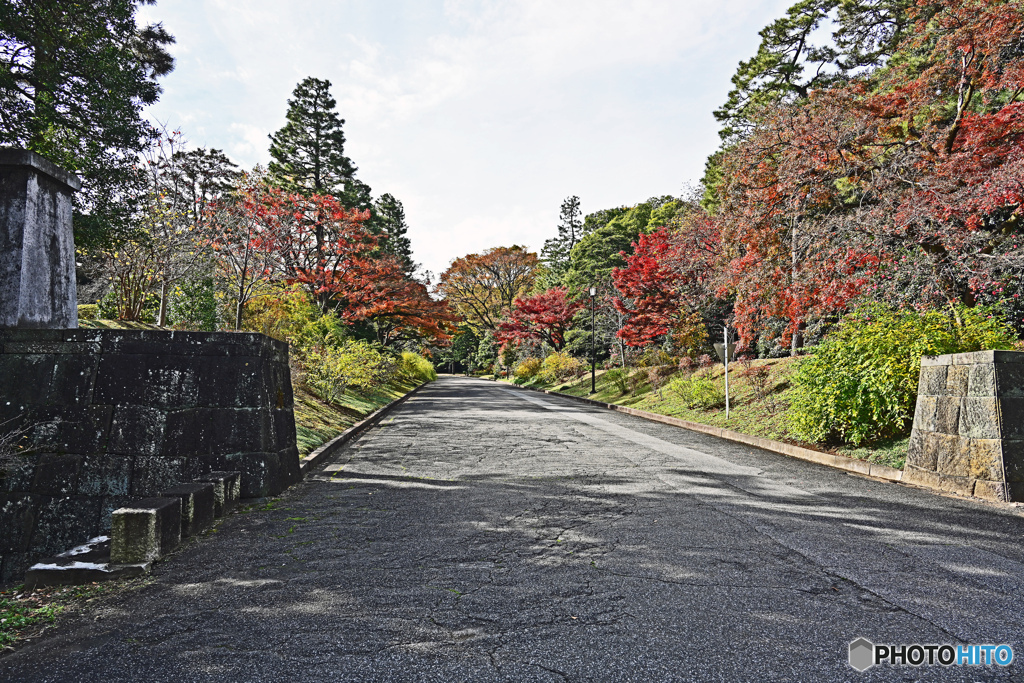 秋の皇居公開