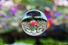 テスト撮影中　ベア君