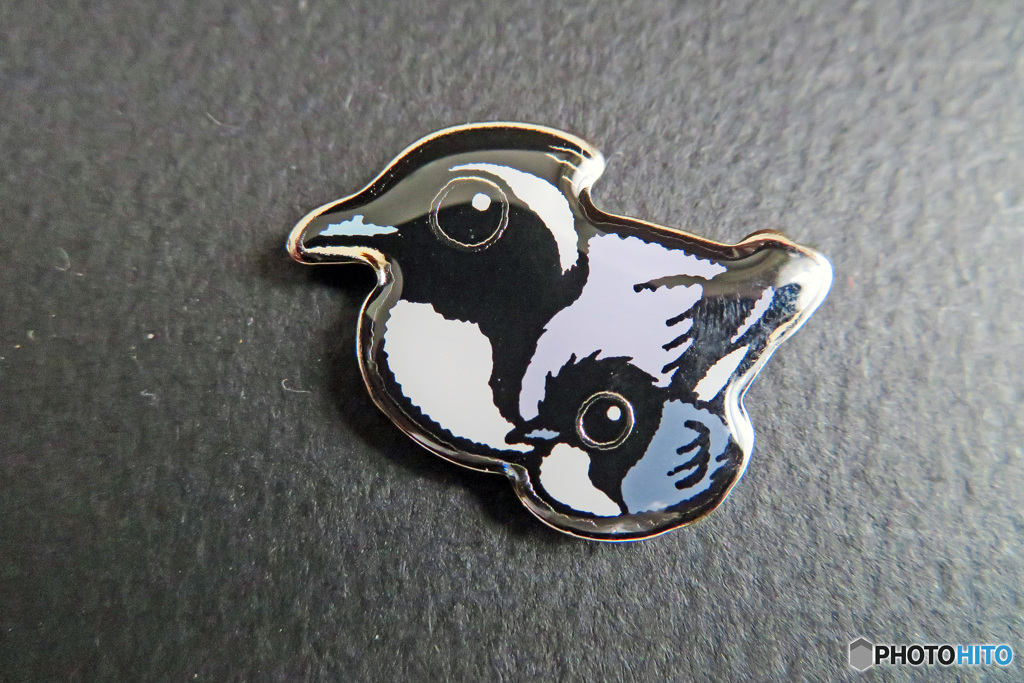 私のコレクション　野鳥バッジ　「カンムリウミスズ」