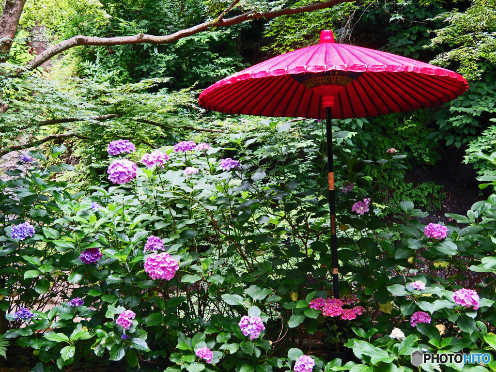 赤い傘のある風景