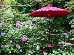 赤い傘のある風景