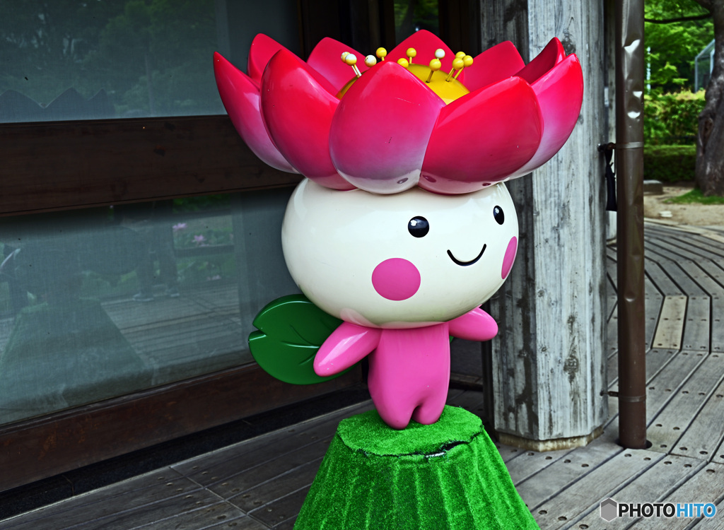 大賀ハス姫ちゃんで～す　会いに来てください。