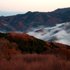 雲海