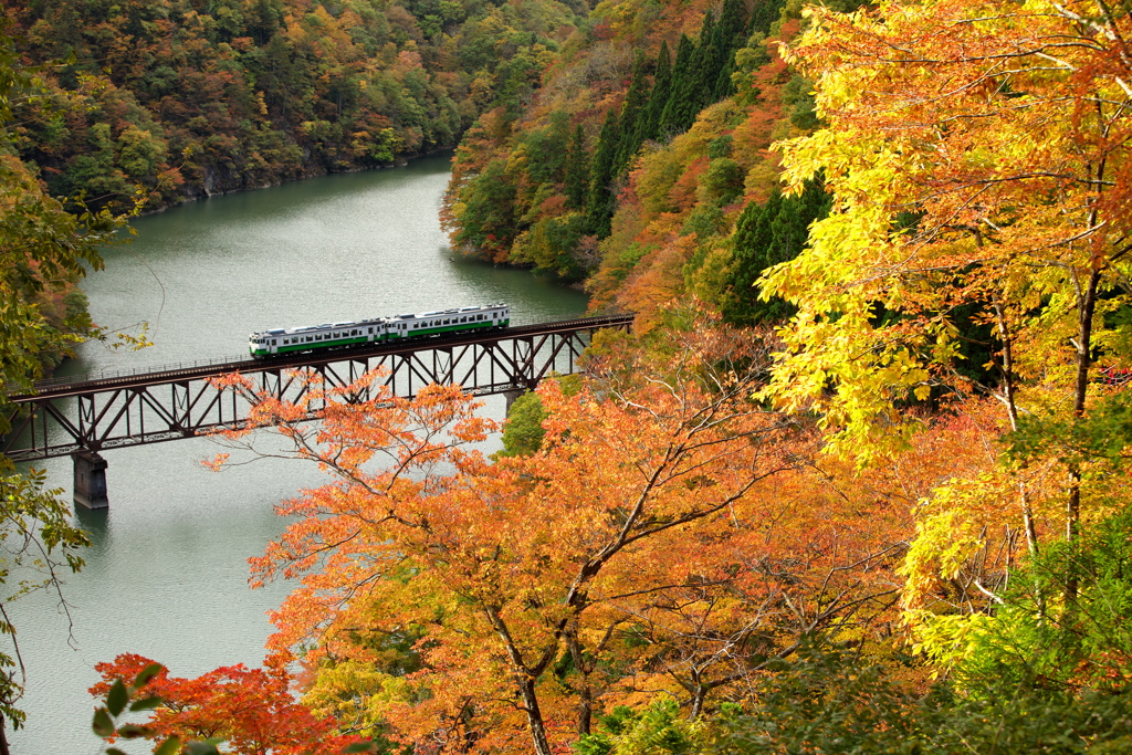 紅葉スポット