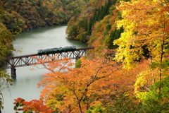 紅葉スポット