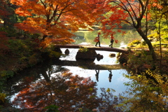 紅葉スポット