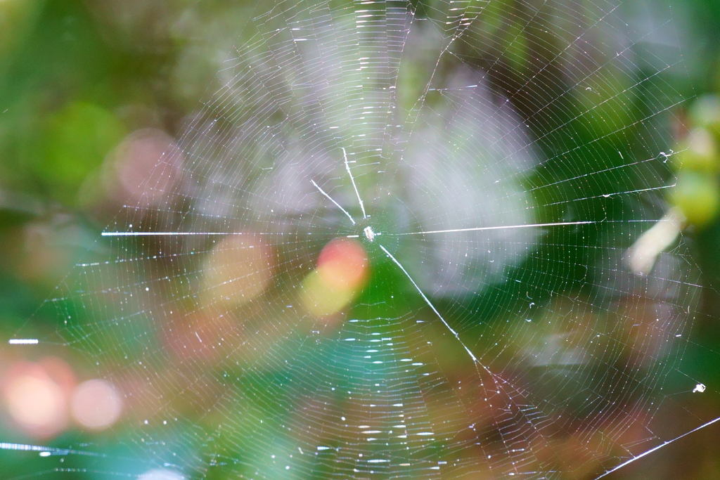 透かして見えるのは