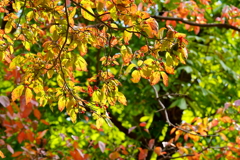 公園にて