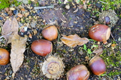 公園にて