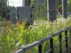 帰り道