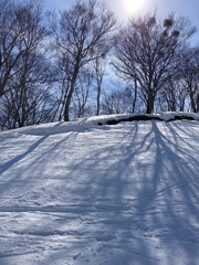 雪と影