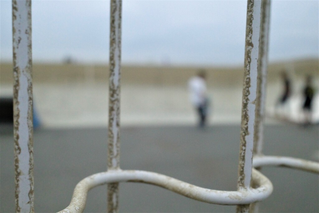 少年達