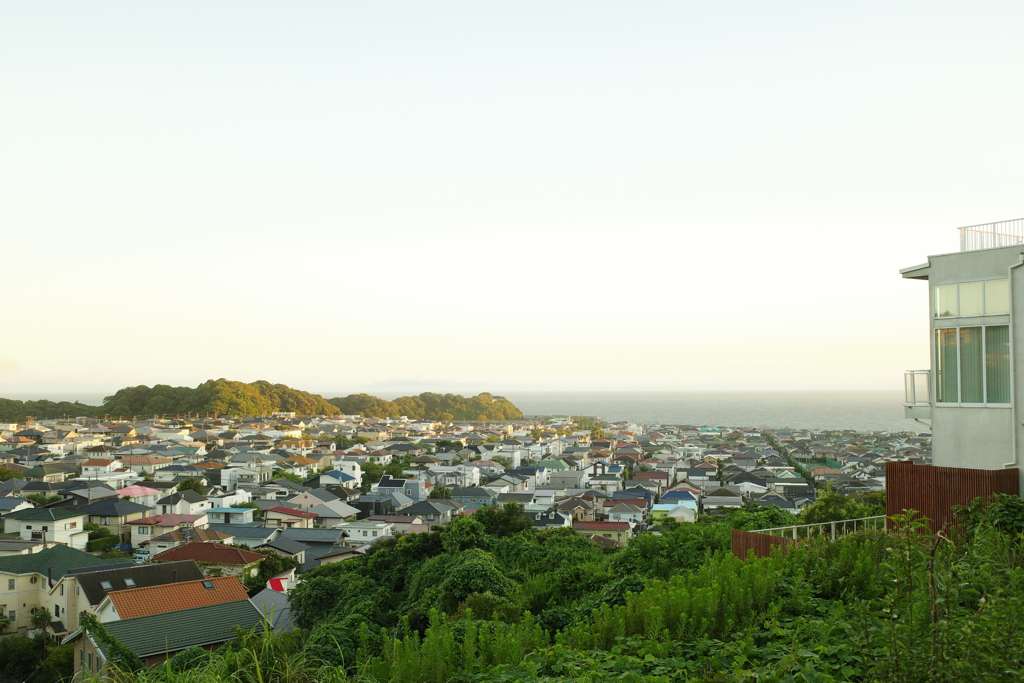 海を見下ろす