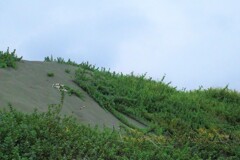 海はもうすぐ